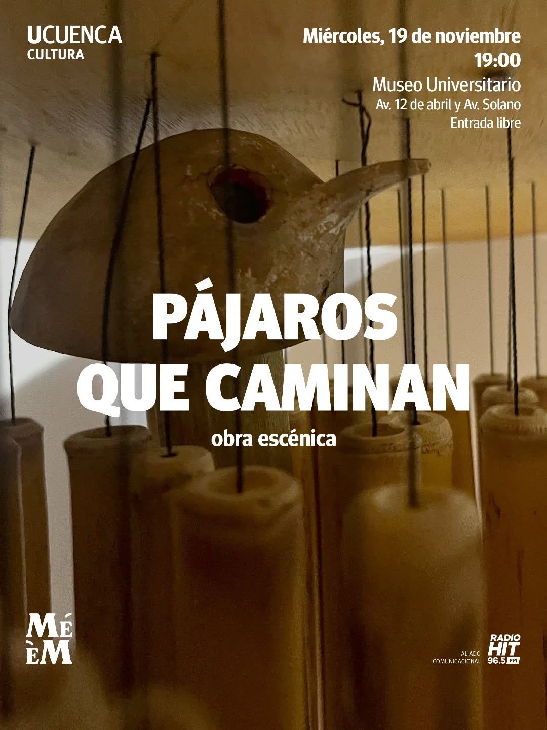 Obras: Pájaros que caminan
