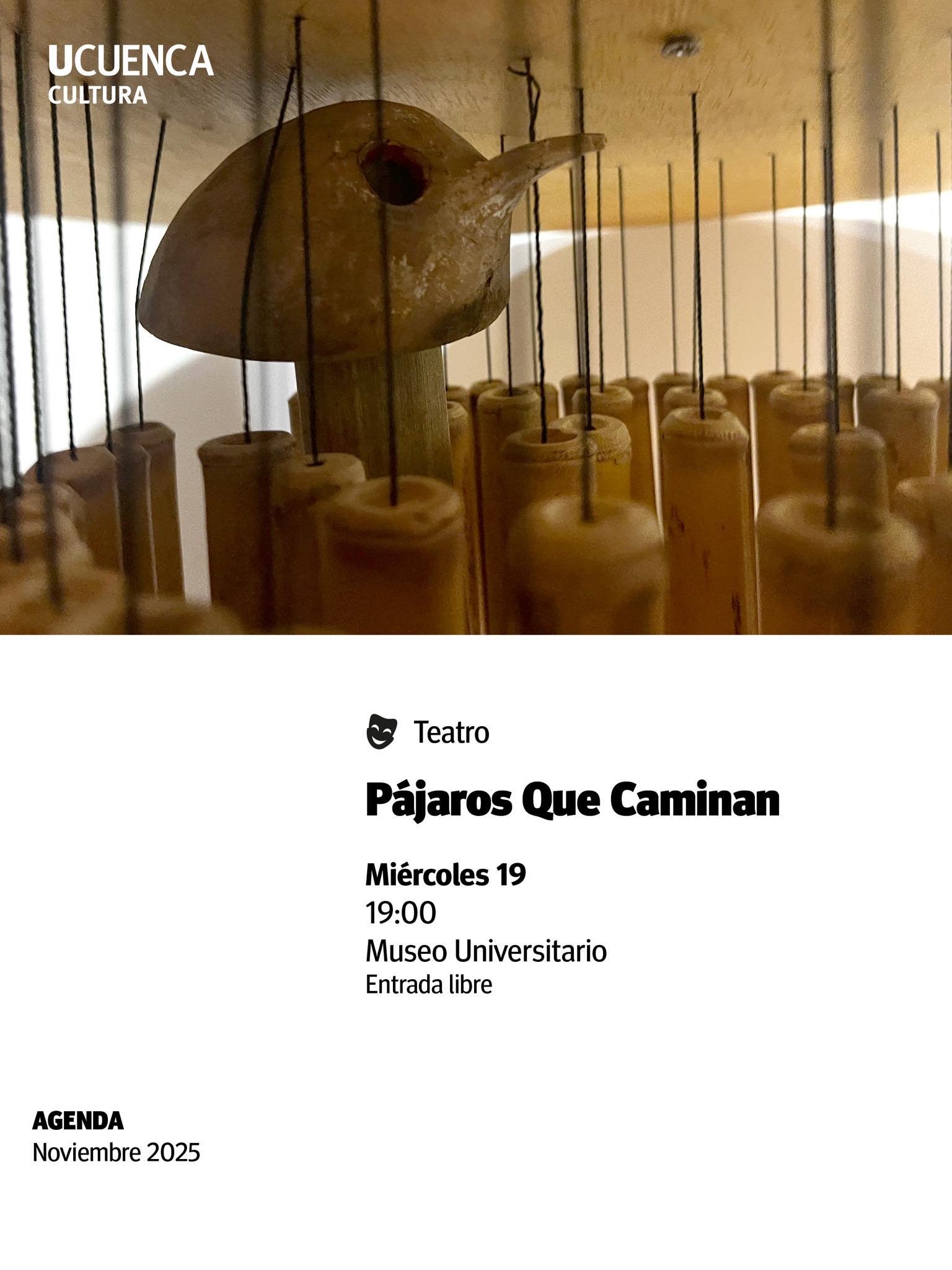 Obra: Pájaros que caminan